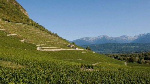 vins, Savoie, Trophées 2014
